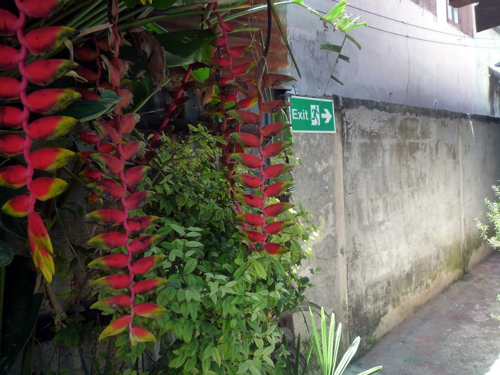 Noom Guesthouse Lop Buri Dış mekan fotoğraf